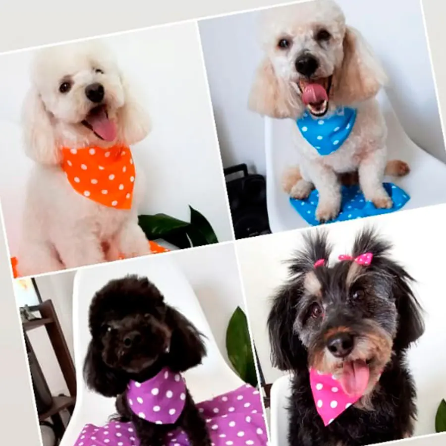 Peluquería Canina Jimena
